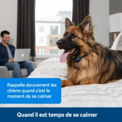 PetSafe ANTI ABOIEMENT SONORE RECHARGEABLE -Équipement De Chasse anti aboiement sonore rechargeable 2