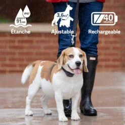 PetSafe ANTI ABOIEMENT SONORE RECHARGEABLE -Équipement De Chasse anti aboiement sonore rechargeable 3