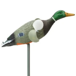 APPELANT COLVERT ROTATIF 10 APPELANT COLVERT ROTATIF -Équipement De Chasse appelant colvert rotatif 2
