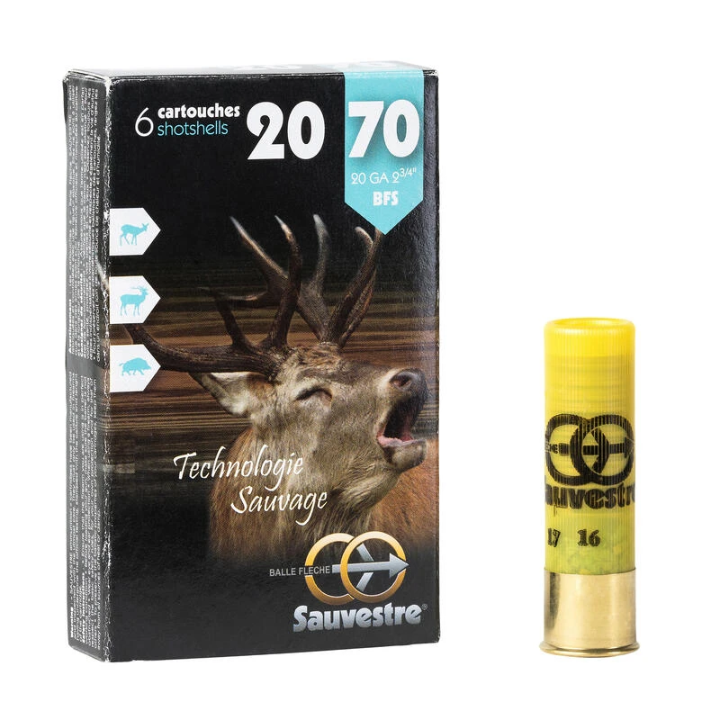 Balle Flèche Sauvestre Calibre 20/70 X 6 3 Balle Flèche Sauvestre Calibre 20/70 X 6
