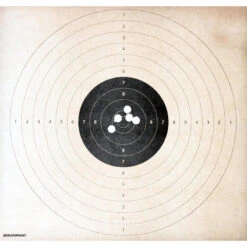 Cartouche Balle Slug 28gr CAL12/67 X10 -Équipement De Chasse cartouche balle slug 28gr cal1267 x10 6