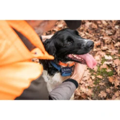 Collier Anti-aboiement Pour Chien Num'axes Canicalm Premium 7 Collier Anti-aboiement Pour Chien Num'axes Canicalm Premium -Équipement De Chasse collier anti aboiement pour chien numaxes canicalm premium 2
