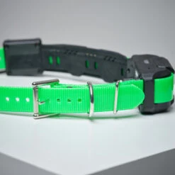 Collier Supplémentaire Repérage Et Dressage Pour Chien Dogtra Pathfinder 11 Collier Supplémentaire Repérage Et Dressage Pour Chien Dogtra Pathfinder -Équipement De Chasse collier supplementaire reperage et dressage pour chien dogtra pathfinder 2