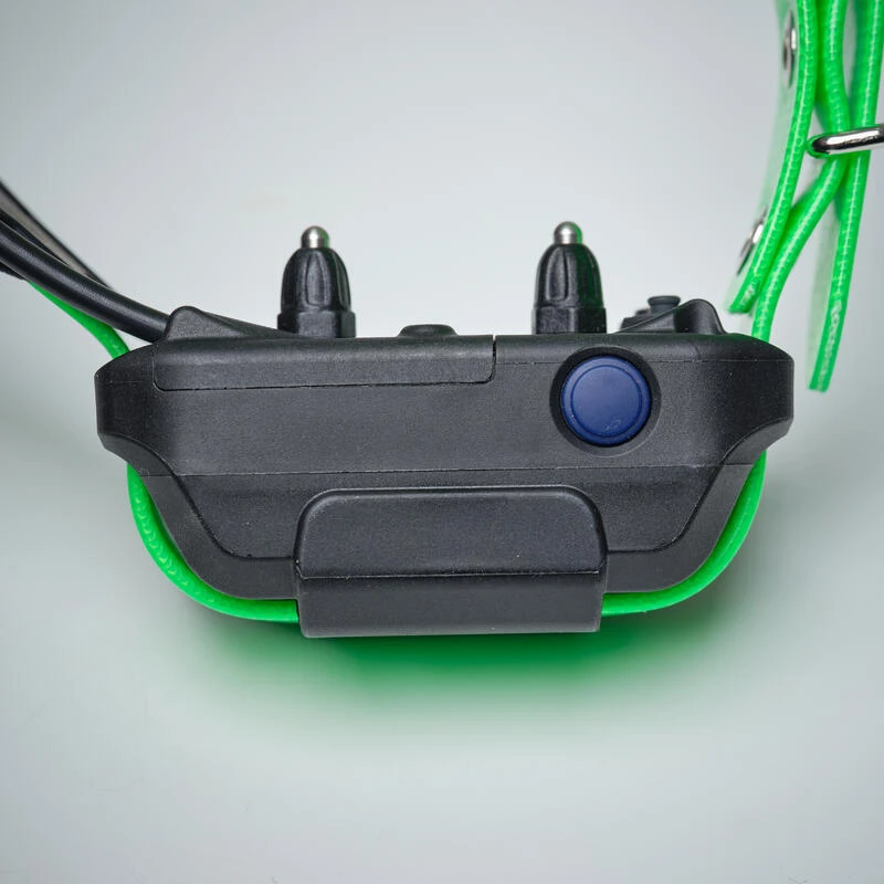 Collier Supplémentaire Repérage Et Dressage Pour Chien Dogtra Pathfinder 8 Collier Supplémentaire Repérage Et Dressage Pour Chien Dogtra Pathfinder – Image 7