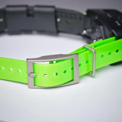 Collier Supplémentaire Repérage Et Dressage Pour Chien Garmin TT15X 12 Collier Supplémentaire Repérage Et Dressage Pour Chien Garmin TT15X -Équipement De Chasse collier supplementaire reperage et dressage pour chien garmin tt15x 2