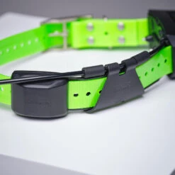 Collier Supplémentaire Repérage Et Dressage Pour Chien Garmin TT15X 15 Collier Supplémentaire Repérage Et Dressage Pour Chien Garmin TT15X -Équipement De Chasse collier supplementaire reperage et dressage pour chien garmin tt15x 5
