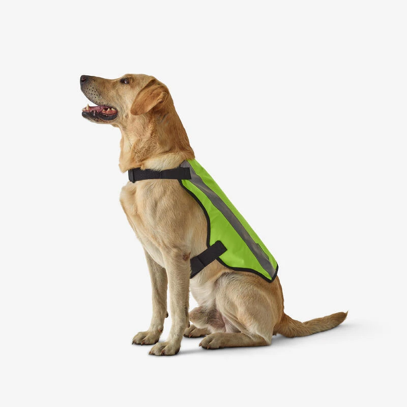 GILET CHIEN CHASSE JAUNE 100 4 GILET CHIEN CHASSE JAUNE 100 – Image 2
