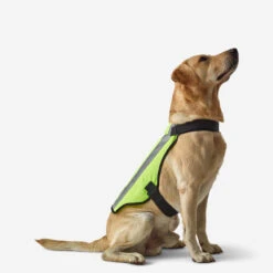 GILET CHIEN CHASSE JAUNE 100 11 GILET CHIEN CHASSE JAUNE 100 -Équipement De Chasse gilet chien chasse jaune 100 2