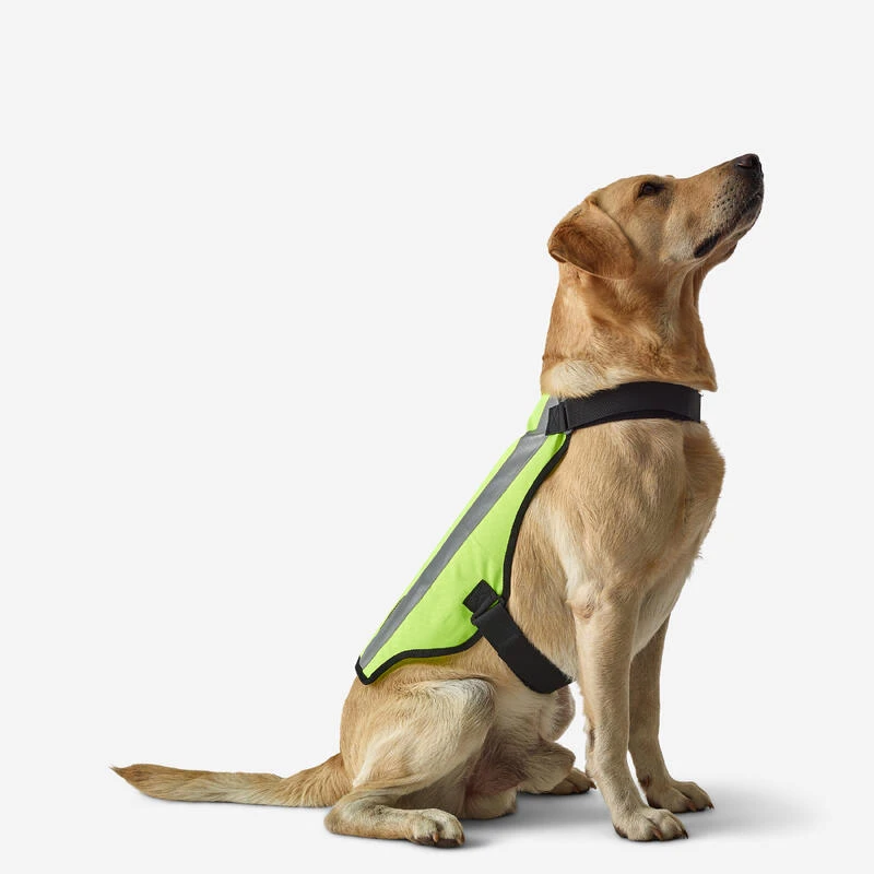 GILET CHIEN CHASSE JAUNE 100 5 GILET CHIEN CHASSE JAUNE 100 – Image 3