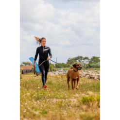 Longe Pour Chien 10 Mètres 100 Verte -Équipement De Chasse longe pour chien 10 metres 100 verte 1