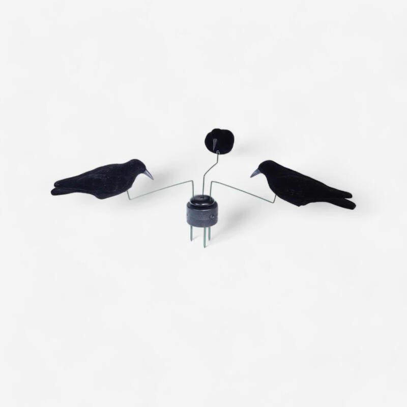 MANÈGE À CORBEAUX 3 MANÈGE À CORBEAUX