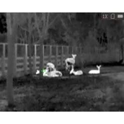 HikMicro Monoculaire De Vision Thermique Hik Micro Lynx Pro LE10 -Équipement De Chasse monoculaire de vision thermique hik micro lynx pro le10 7