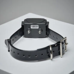 Pack Collier + Télécommande De Dressage Pour Chien Num'axes Canicom 300 -Équipement De Chasse pack collier telecommande de dressage pour chien numaxes canicom 300 4