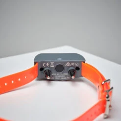 Pack Collier + Télécommande De Dressage Pour Chien Sportdog SD-875 -Équipement De Chasse pack collier telecommande de dressage pour chien sportdog sd 875 2