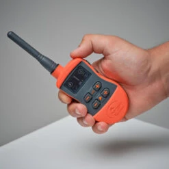 Pack Collier + Télécommande De Dressage Pour Chien Sportdog SD-875 -Équipement De Chasse pack collier telecommande de dressage pour chien sportdog sd 875 7