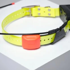 PACK COLLIER + TÉLÉCOMMANDE DE REPÉRAGE/DRESSAGE CHIEN GARMIN ALPHA 200 T5X -Équipement De Chasse pack collier telecommande de reperagedressage chien garmin alpha 200 t5x 7