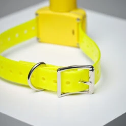 Pack Télécommande + Collier De Repérage Sonnaillon Num'axes Canibeep Radio Pro -Équipement De Chasse pack telecommande collier de reperage sonnaillon numaxes canibeep radio pro 2