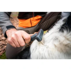 No Brand PEIGNE 37 DENTS POUR CHIEN 11 No Brand PEIGNE 37 DENTS POUR CHIEN -Équipement De Chasse peigne 37 dents pour chien 4