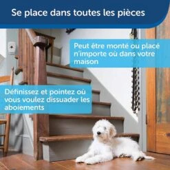 PetSafe SYSTEME ANTIABOIEMENT ULTRASON INT X 2 -Équipement De Chasse systeme antiaboiement ultrason int x 2 4